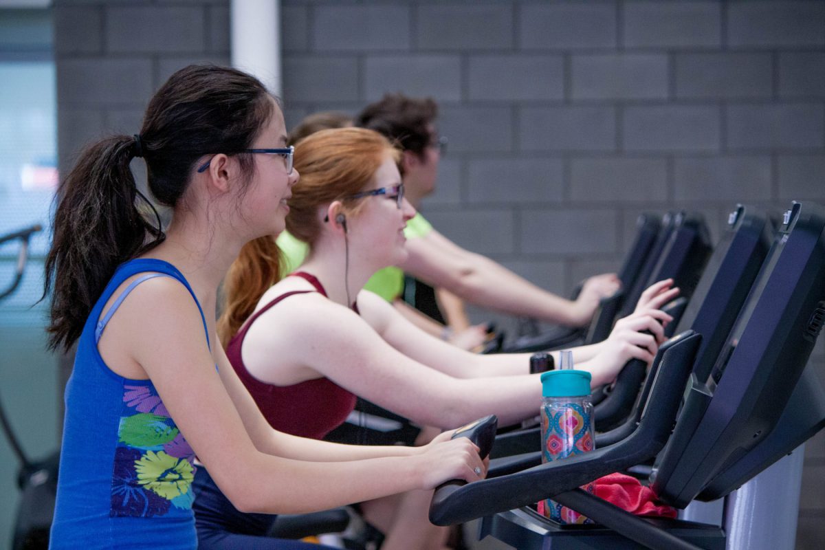Treadmills at a gym