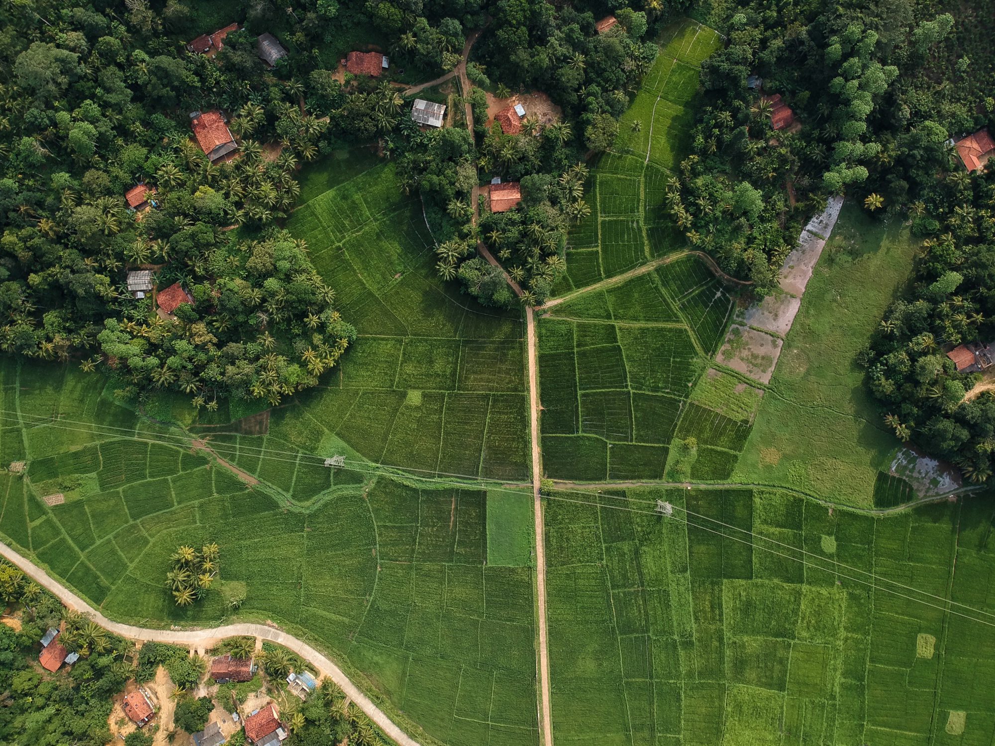 Aerial view of a field