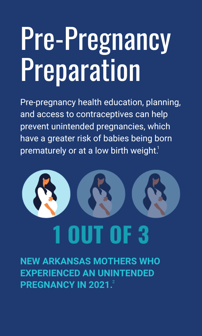 02_Pre-Pregnancy Preparation