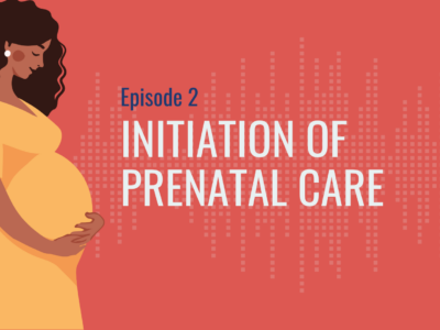 The Healthy Birthing Journey Podcast