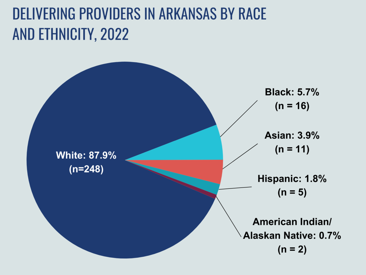 240522_Delivering Providers in Arkansas by Race and Ethnicity-2022-no logo